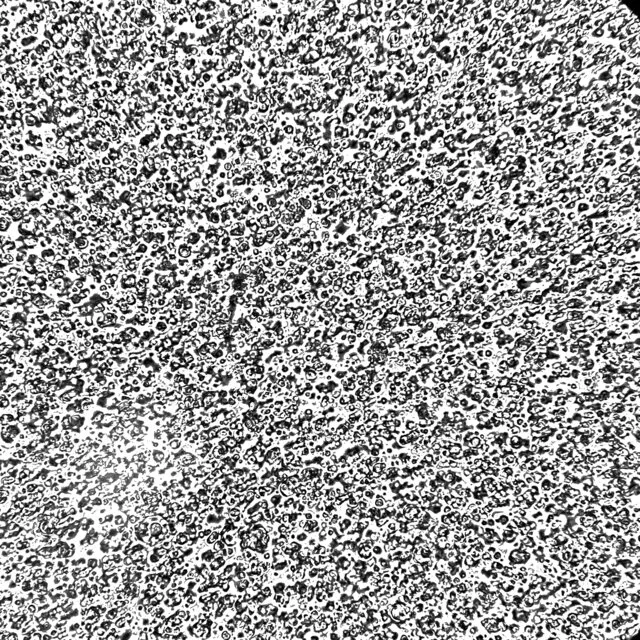 double nanoemulsion for cosmetic repellents